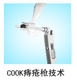 COOK痔疮枪技术